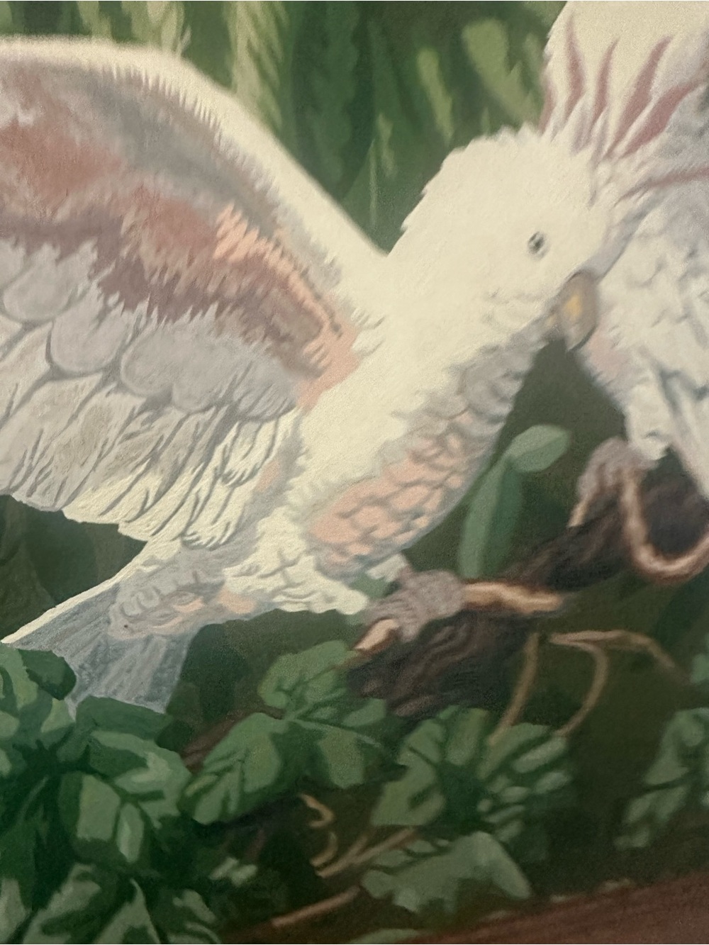MCM retro  Cockatoo birds Botanical painting in Green White lavender pink - Picture 3 of 7